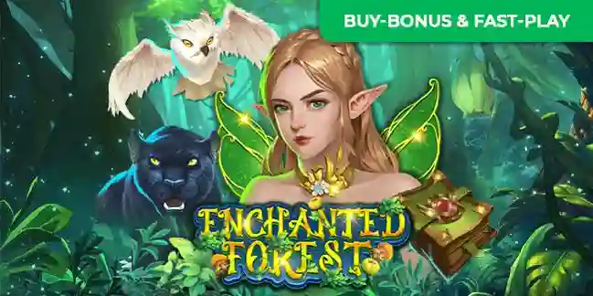 Enchanted-Forest